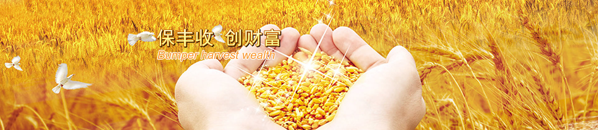 質量保證 優質服務 求實創新
